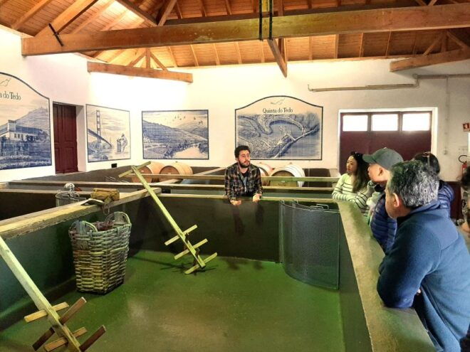 Porto: Douro Valley Day Trip With 2 Wineries, Lunch & Cruise - Customer Reviews