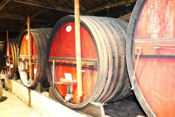 Porto: Douro Valley Day Trip With 2 Wineries, Lunch & Cruise - Important Information
