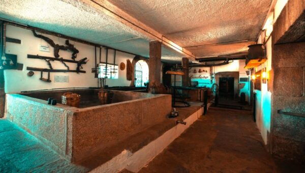 Porto: Douro Valley Day Trip With 2 Wineries, Lunch & Cruise - Highlights