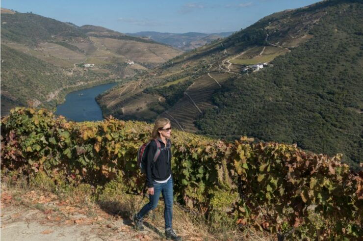 Porto: Douro Valley Day Trip With Wine Tasting and Lunch - Good To Know