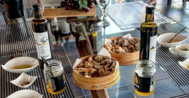 Porto: Douro Valley Day Trip With Wine Tasting and Lunch - Full Description