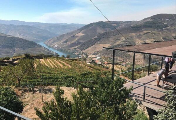 Porto: Douro Valley Day Trip With Wine Tasting and Lunch - Frequently Asked Questions