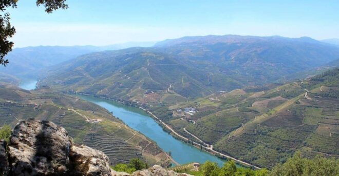 Porto: Douro Valley Excellence Tour, Cruise, Lunch & Winery - Important Information to Know