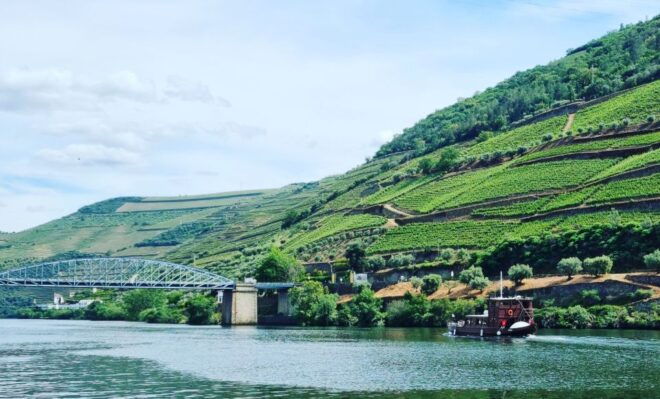 Porto: Douro Valley Excellence Tour, Cruise, Lunch & Winery - Customer Reviews and Ratings