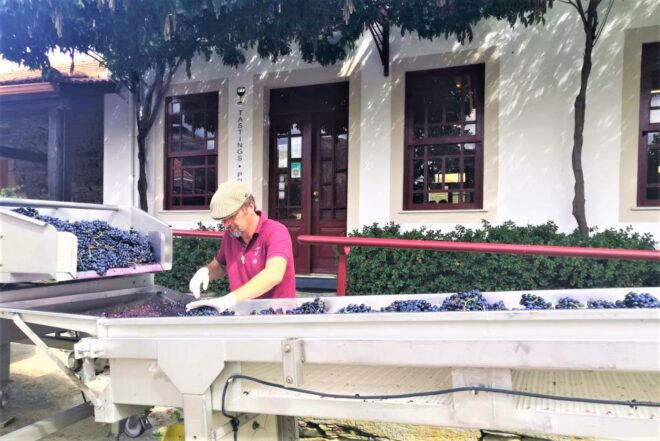 Porto: Douro Valley Exclusive Tour With Port Tasting & Lunch - Traditional Lunch at a Private Farm