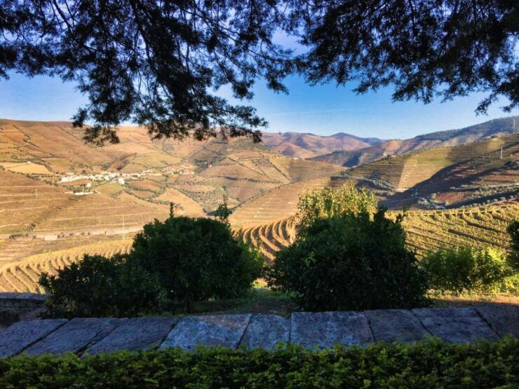 Porto: Douro Valley Experience With 3 Wineries & Lunch - Tour Itinerary Highlights