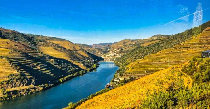 Porto: Douro Valley Experience With 3 Wineries & Lunch - Wine Tasting Experience
