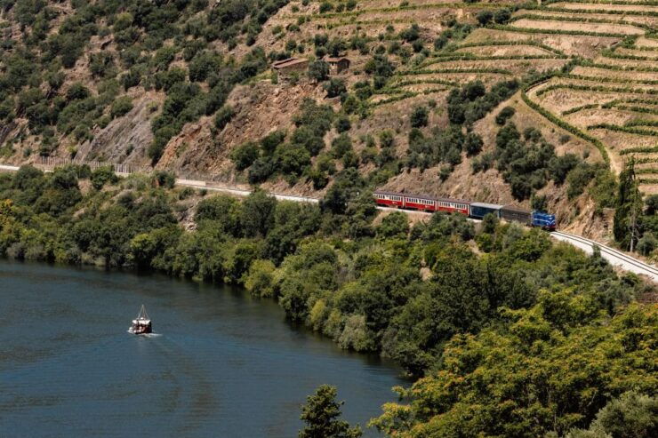 Porto: Douro Valley Full-Day Boat, Train, and Lunch Tour - Tour Experience