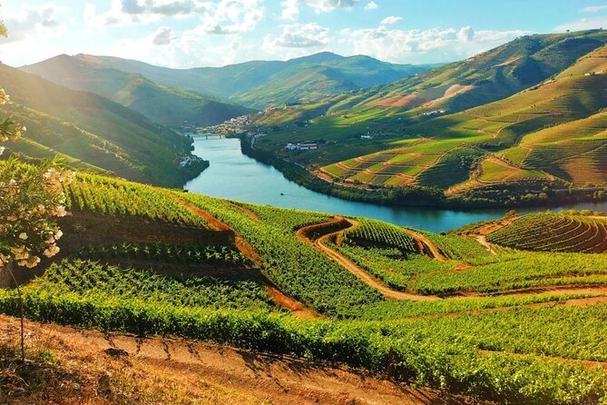 Porto Douro Valley Full-Day Wine Tasting & River Cruise With Lunch - Good To Know