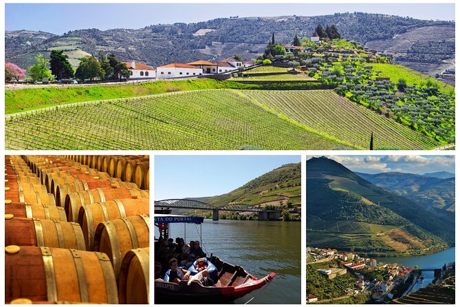 Porto Douro Valley Full-Day Wine Tasting & River Cruise With Lunch - Tour Overview and Highlights