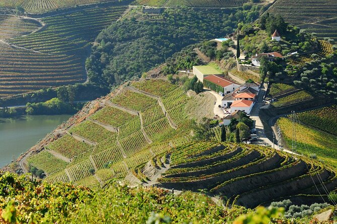 Porto Douro Valley Full-Day Wine Tasting & River Cruise With Lunch - Important Considerations and Tips