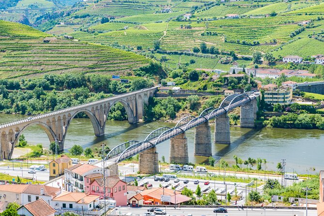 Porto Douro Valley Full-Day Wine Tasting & River Cruise With Lunch - The Sum Up