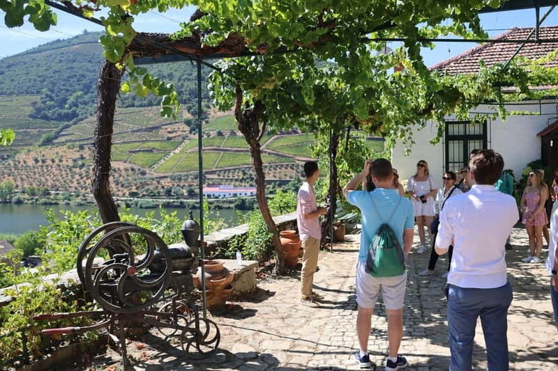 Porto: DOURO VALLEY Half-day Tour - Practical Details