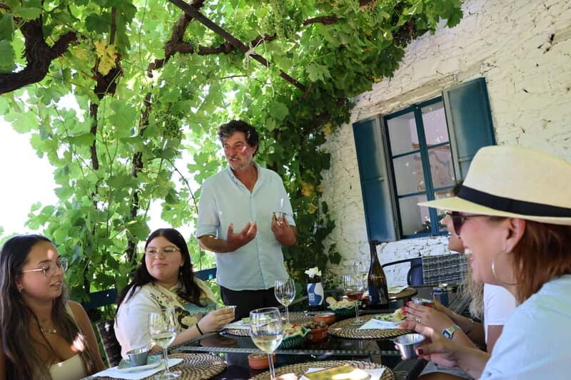 Porto: DOURO VALLEY Half-day Tour - What Makes This Tour Stand Out