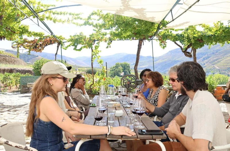 Porto: DOURO VALLEY Half-day Tour - Who Should Consider This Tour?