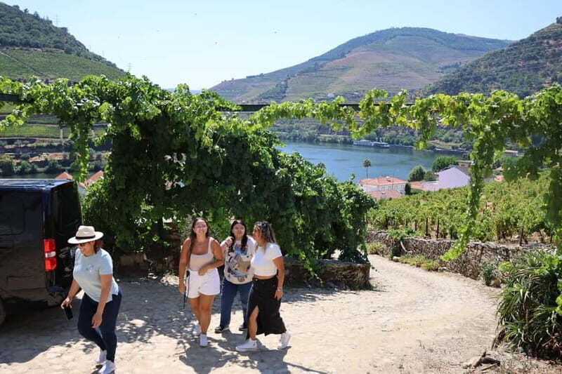 Porto: DOURO VALLEY Half-day Tour - FAQ