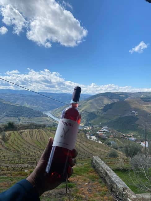 Porto: Douro Valley Half-Day Wine and Food Tour - The Scenic Drive and Photo Stop