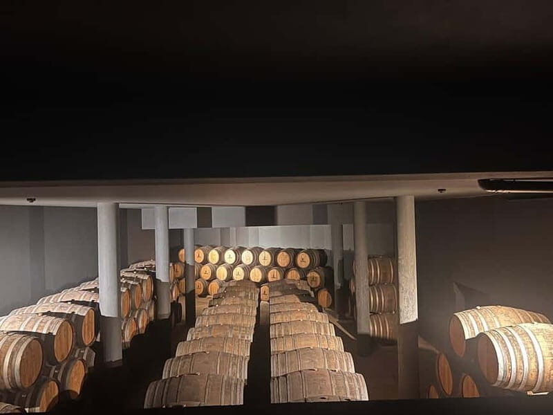 Porto: Douro Valley Half-Day Wine and Food Tour - Lunch in Pinhão