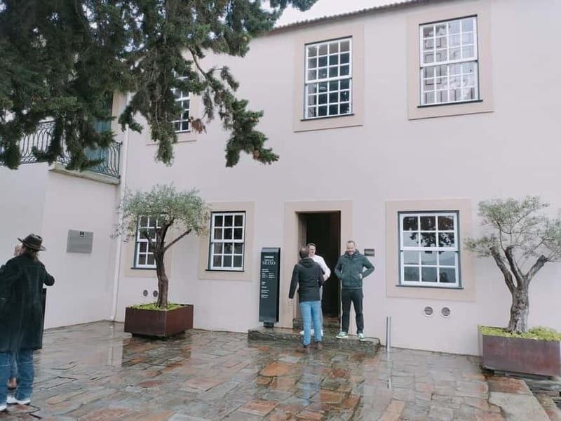 Porto: Douro Valley Half-Day Wine and Food Tour - Scenic Drive Back and Drop-off