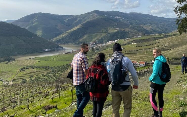 Porto: Douro Valley Hike, Winery Visit and Tasting - Itinerary Details