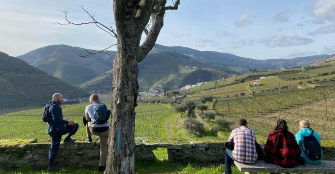 Porto: Douro Valley Hike, Winery Visit and Tasting - Hiking Experience
