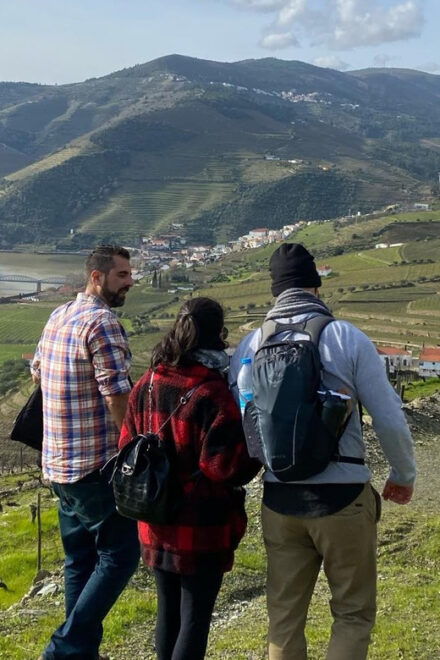 Porto: Douro Valley Hike, Winery Visit and Tasting - Scenic Views