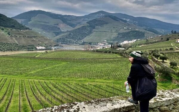 Porto: Douro Valley Hike, Winery Visit and Tasting - Customer Feedback