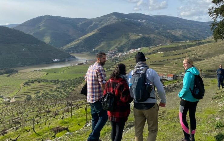 Porto: Douro Valley Hike, Winery Visit and Tasting - Booking and Flexibility
