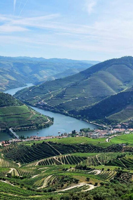 Porto/Douro Valley: Private Day Tour Departing From Porto - Experience Highlights