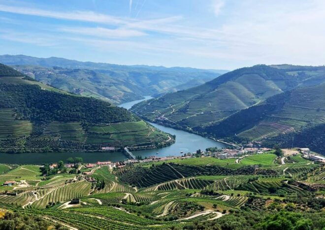 Porto/Douro Valley: Private Day Tour Departing From Porto - Exclusions