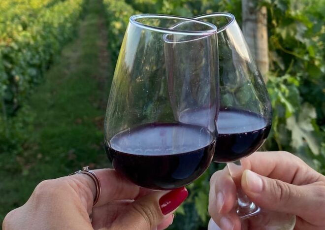 Porto/Douro Valley: Private Day Tour Departing From Porto - Stunning Landscapes