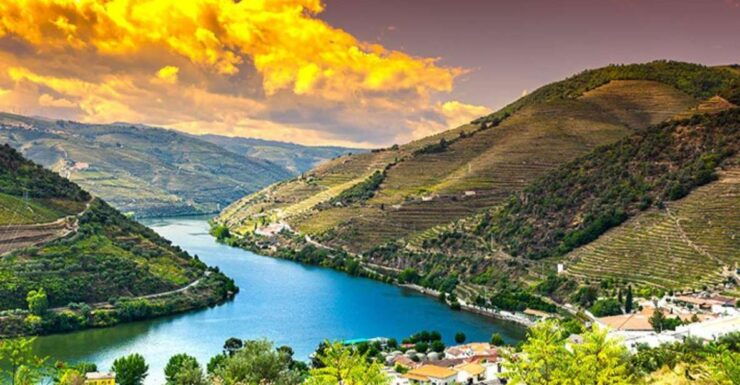 Porto: Douro Valley Private Full-Day Tour - Good To Know