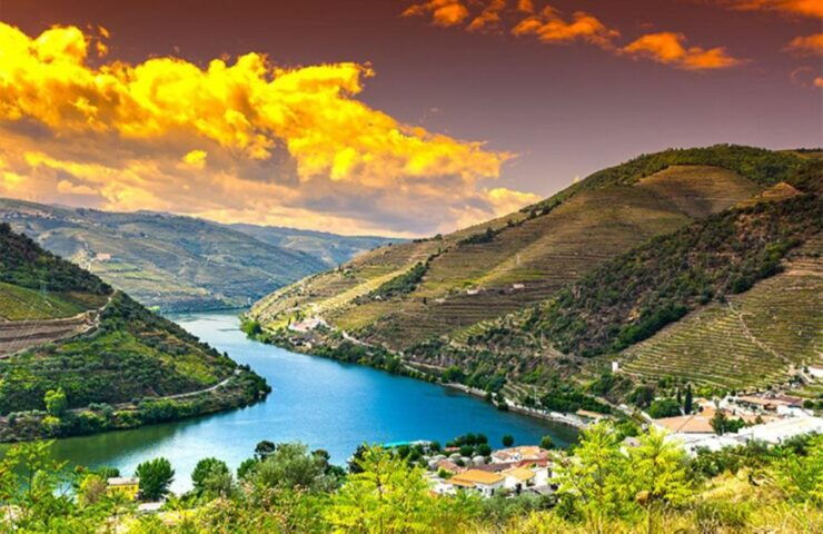 Porto: Douro Valley Private Full-Day Tour - Tour Highlights