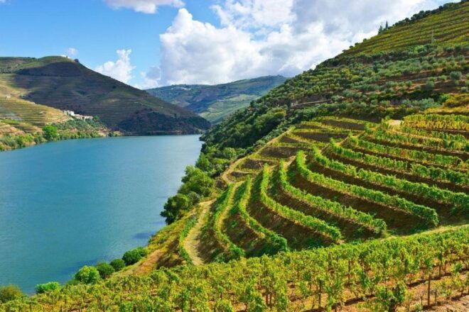 Porto: Douro Valley Private Full-Day Tour - Frequently Asked Questions