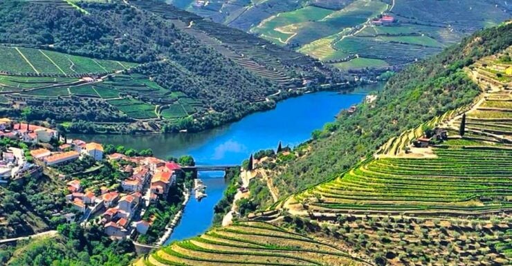 Porto: Douro Valley Private Tour 2 Vineyards & River Cruise - Activity Details