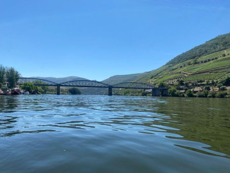 Porto: Douro Valley Private Tour 2 Vineyards & River Cruise - Highlights