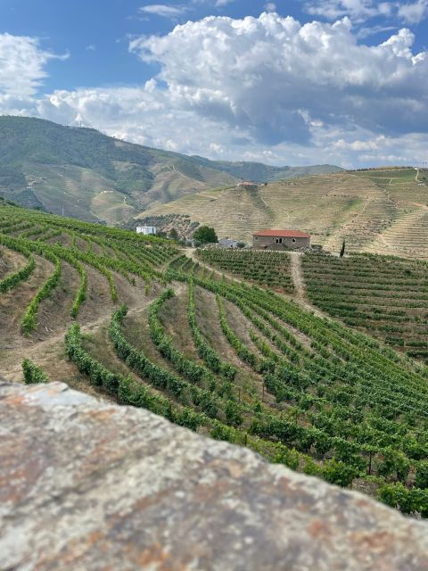 Porto: Douro Valley Private Tour 2 Vineyards & River Cruise - Full Description