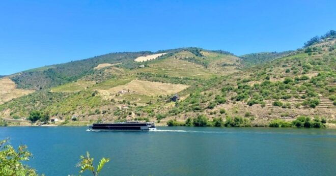 Porto: Douro Valley Private Tour 2 Vineyards & River Cruise - Vineyard Visits and Tastings