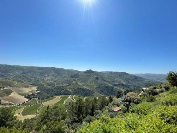 Porto: Douro Valley Private Tour 2 Vineyards & River Cruise - Breathtaking Landscapes in the Douro Valley