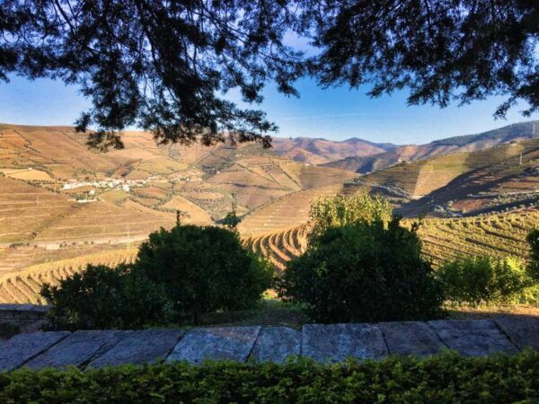 Porto: Douro Valley Private Tour 2 Vineyards & River Cruise - Common Questions
