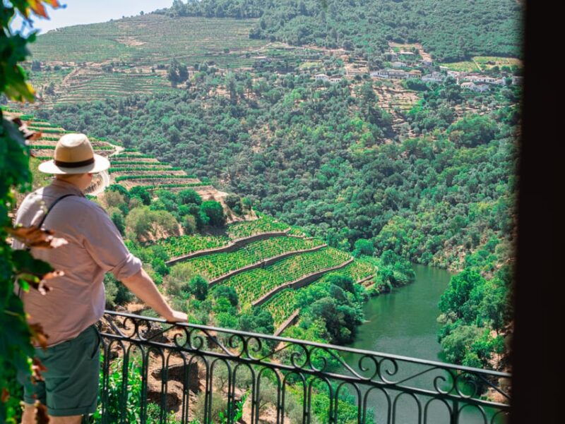 Porto: Douro Valley Private Tour, Tastings, Cruise & Lunch - The Itinerary Breakdown: What to Expect on Your Day