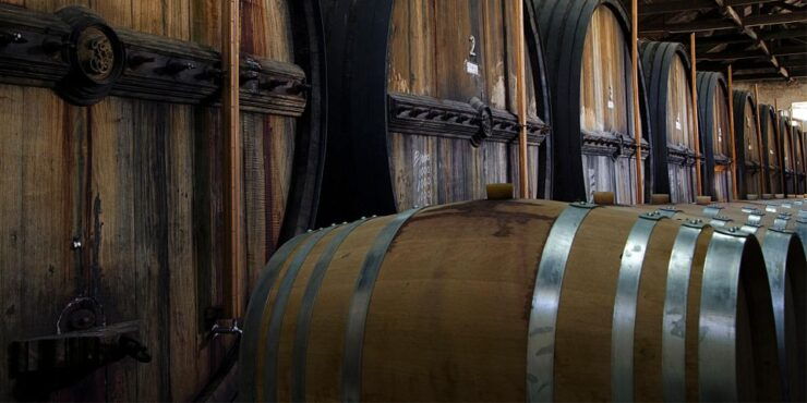 Porto: Douro Valley Private Tour to 2 Boutique Wineries - Wine Tasting Experience Details