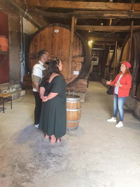 Porto: Douro Valley Private Tour with Winery Visit & Lunch - Good To Know