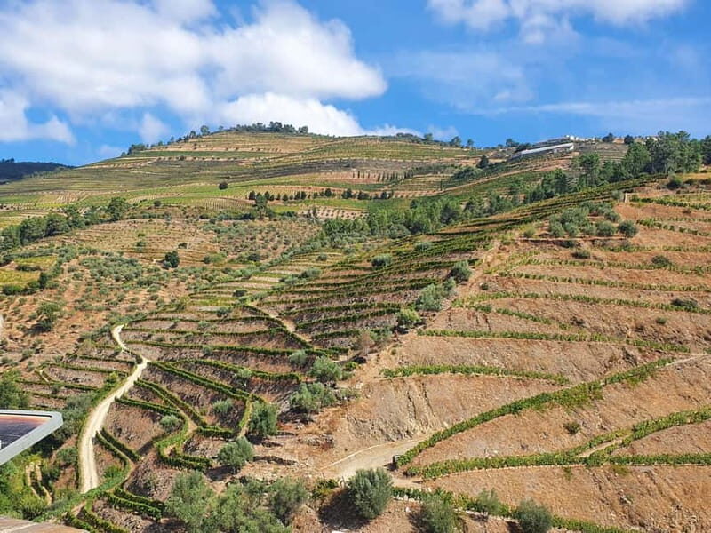 Porto: Douro Valley Private Tour with Winery Visit & Lunch - An Authentic Journey through Portugal’s Douro Valley