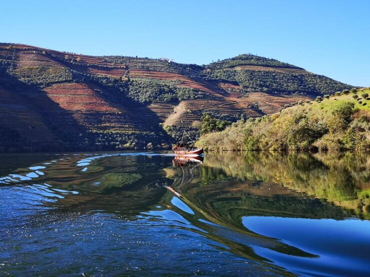 Porto: Douro Valley Private Wine Tour W/ Lunch & Boat Cruise - Good To Know
