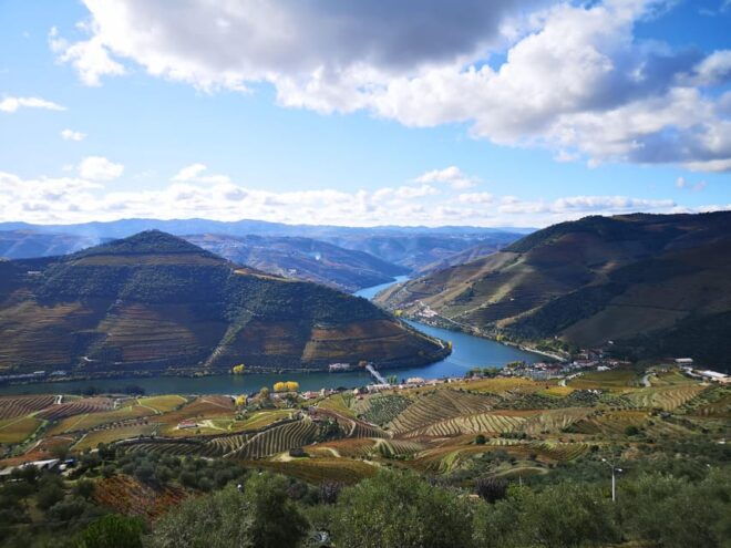 Porto: Douro Valley Private Wine Tour W/ Lunch & Boat Cruise - Wine Tasting Experiences