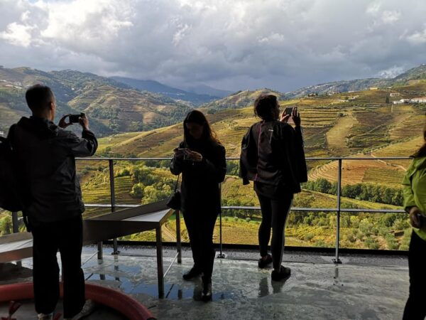Porto: Douro Valley Private Wine Tour W/ Lunch & Boat Cruise - Private Tour With Local Guide