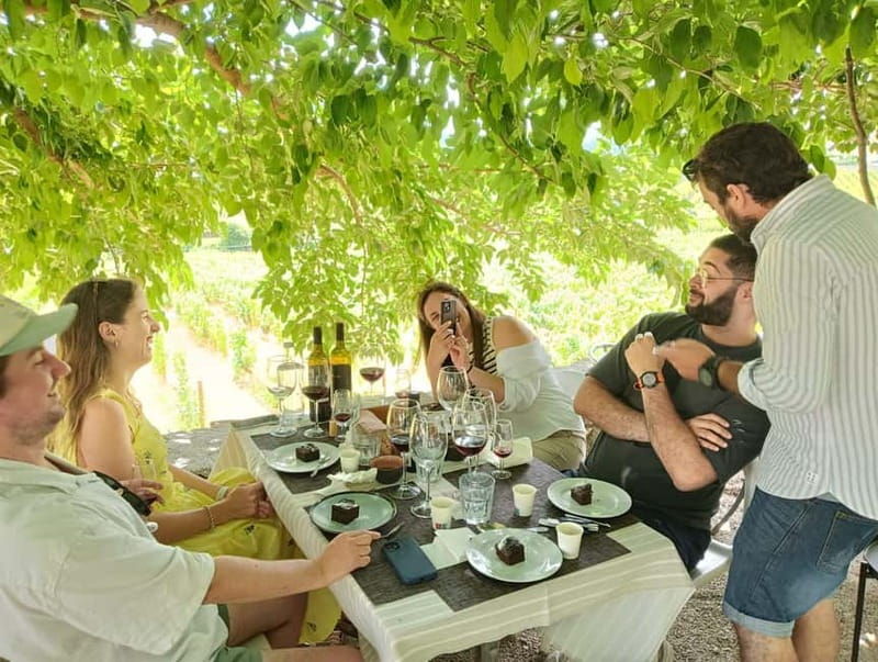 Porto: Douro Valley Tour at 2 Wineries with Lunch and Cruise - Who is this tour perfect for?  