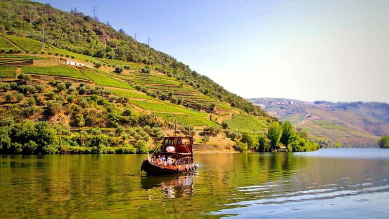 Porto: Douro Valley Tour at 2 Wineries with Lunch and Cruise - The Itinerary in Detail