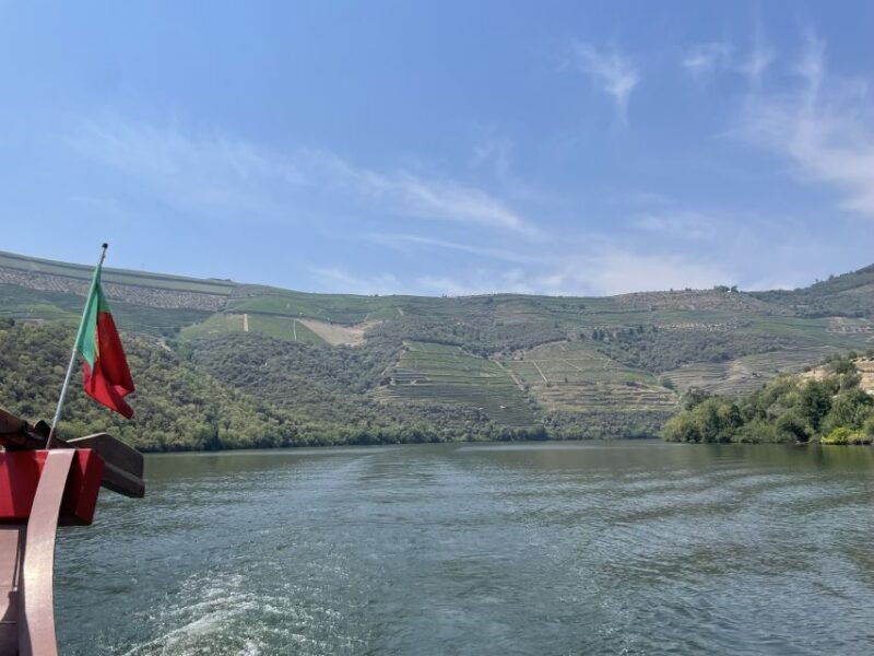 Porto: Douro Valley Tour w/ 3 Tastings, Lunch, & Opt. Cruise - Good To Know